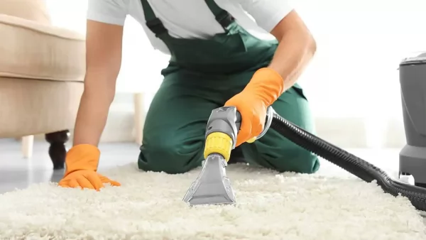 Why You Should Invest in Professional Carpet Cleaning for Your Business